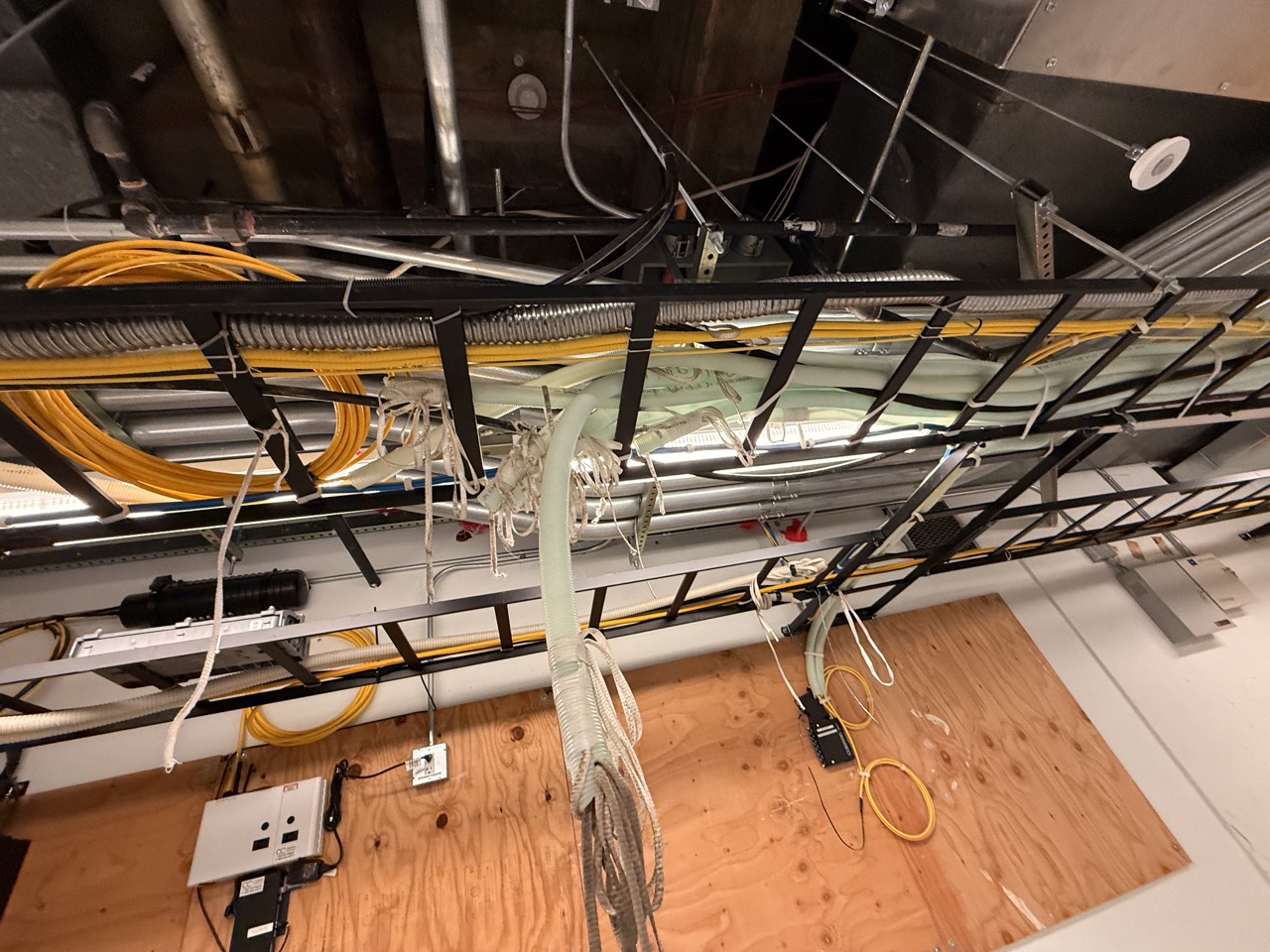 IMG_8500 Large